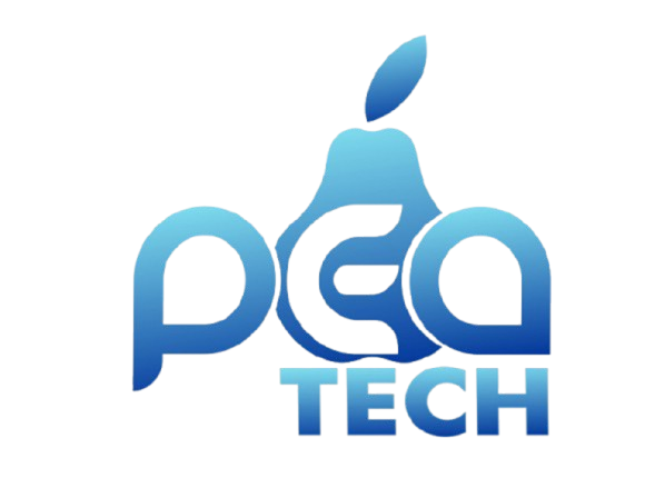 PEATECH.NG - No. 1 Software Development Company in Nigeria